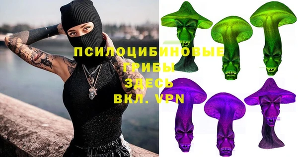 дживик Богородицк