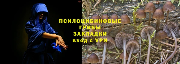 прущая мука Сосновоборск